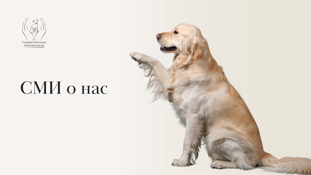 СМИ о нас смотреть онлайн