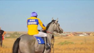 Скачки в Элисте