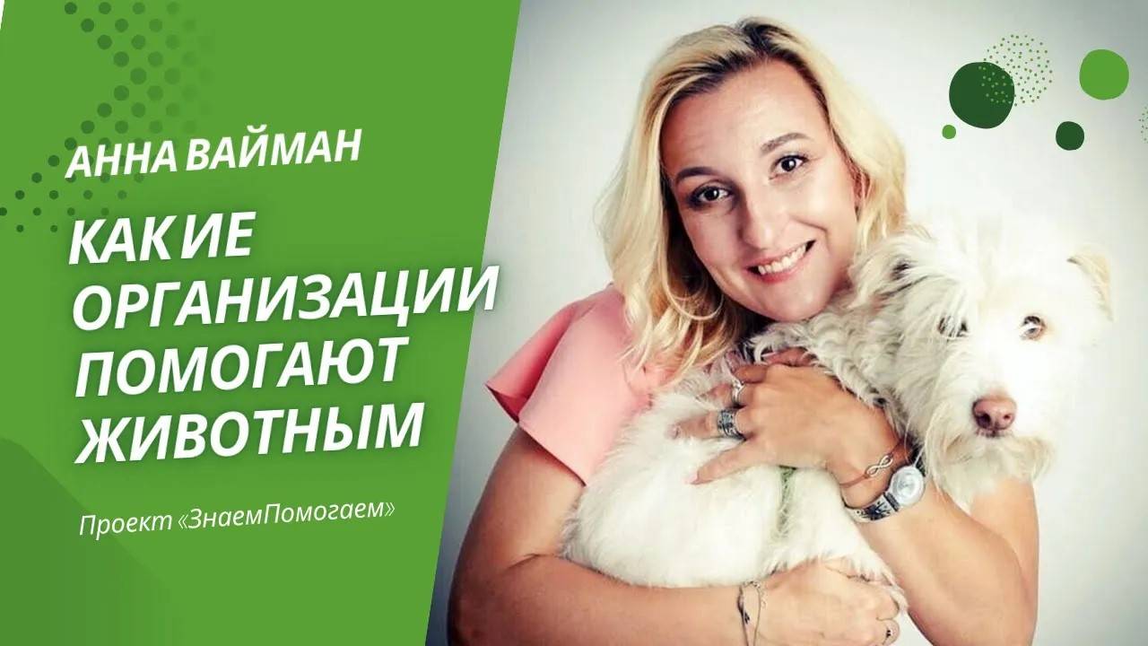 Анна Вайман: Какие организации помогают животным