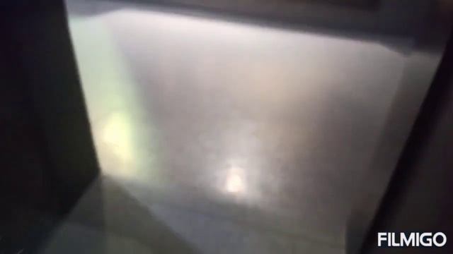 Баку. Зоопарк после реставрации. Все подробности о животных. Baki Zooparki . смотреть онлайн