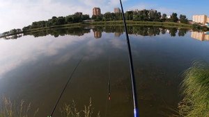 ПРИКОРМИЛ ГОРОХОМ И ПОЙМАЛИ КАРАСЯ...