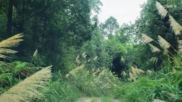 Volvo XC60 vs Offroad