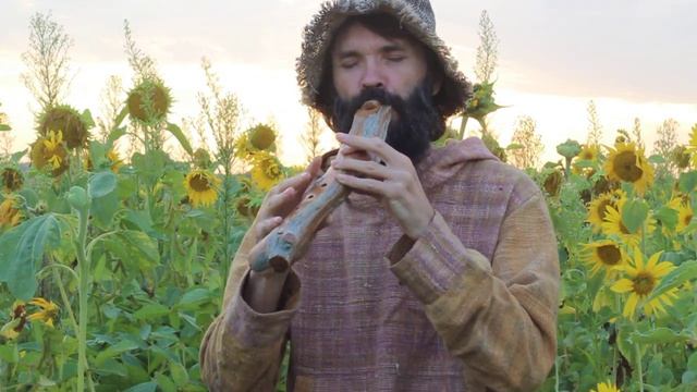 Лесная флейта C# , пентатоника смотреть онлайн