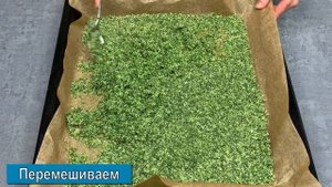 ?СЕЛЬДЕРЕЙНАЯ СОЛЬ? Приправа из сельдерея? ВКУСНАЯ СОЛЬ в домашних условиях ?Рецепт из сельдерея