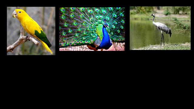 Павел Дуров - иллюминат??? смотреть онлайн