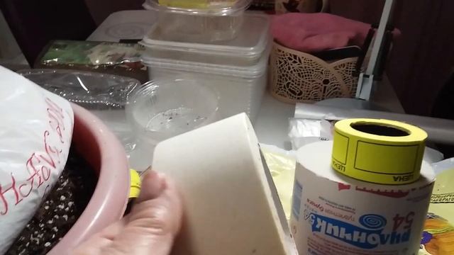 Подготовка семян к посеву на рассаду. Полка для рассады. Готовим землю. Проращиваю семена смотреть онлайн