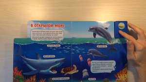 Кто живет в воде? Азбукварик групп. Обзор