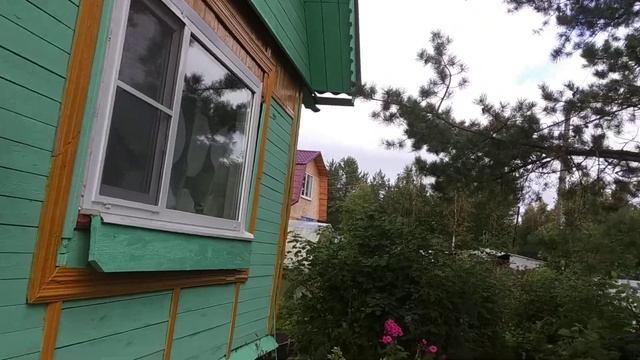 Мамулина дача??? О кактусе? смотреть онлайн