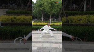 Багуа цянькунь цюань (八卦乾坤圈) или "Круг восьми триграмм Цянь и Кунь".