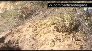 Бездымный костёр