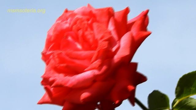 Стих на Рождество - Ночь Рождества, христианские стихи