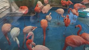 Московский зоопарк. 14.04.2022.avi