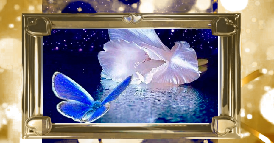 Спокойной ночи! Желаю ярких и чудесных снов? Музыкальное пожелание доброй ночи смотреть онлайн