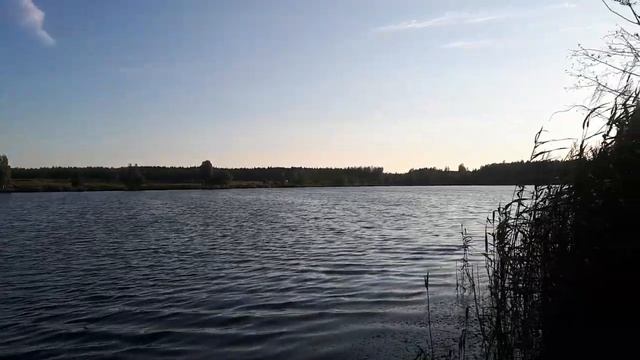 пт.07.07.2023.г отдых рыбалка. смотреть онлайн