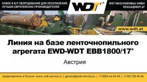 Линия на базе ленточнопильного агрегата EWD. WDT Maschinenbau GmbH, Австрия