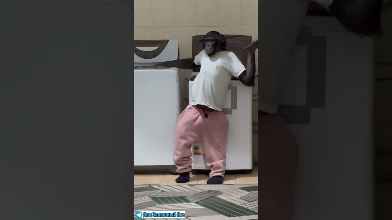 ЗАГАДОЧНАЯ ЖЕНЩИНА!Куда она меня повела? смотреть онлайн