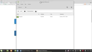 Установка Telegram в Linux Mint 18