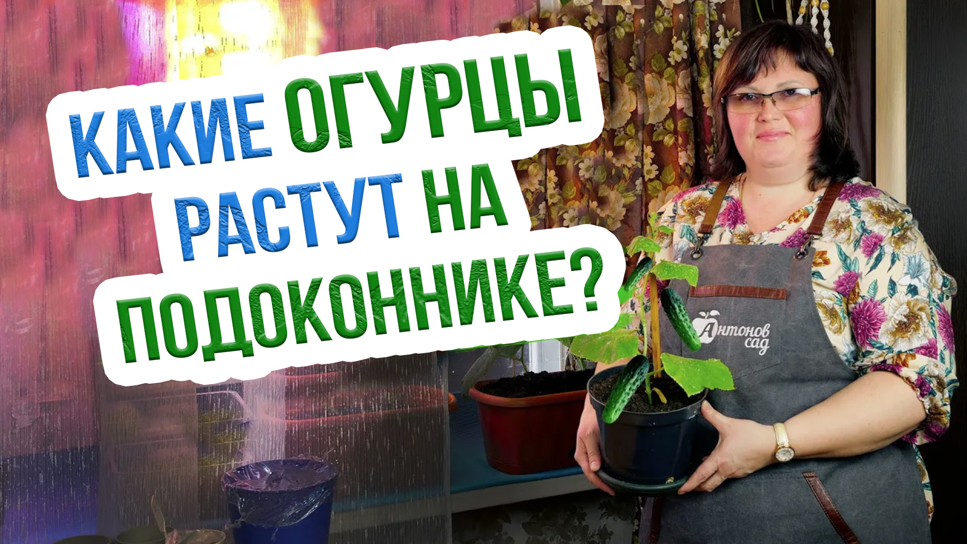 УРОЖАЙ к 8 МАРТА! Выращивание огурцов на подоконнике зимой - 2 способа посадки семян
