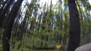 Секретное место.Лесной коп 2017 05 16  3ч