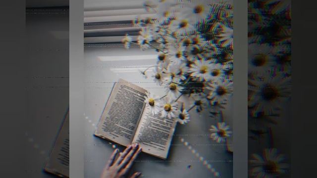аниме эстетика (я зая⊙﹥⊙)