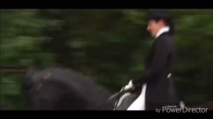 Клип: конный спорт это не шутка!