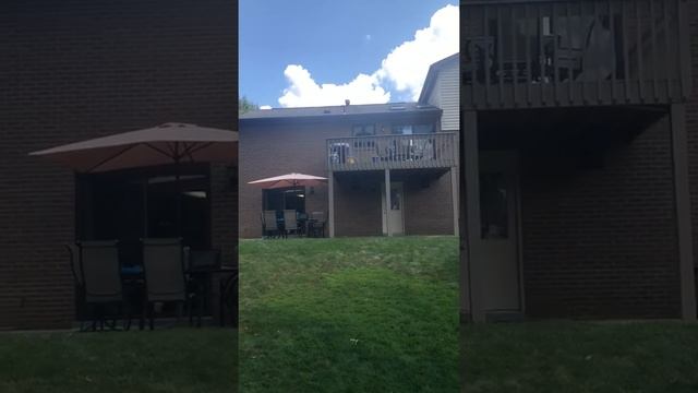 Jbl control 29 speakers смотреть онлайн