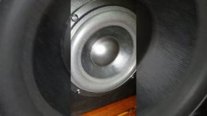 BASS TEST MICROLAB TMN9U