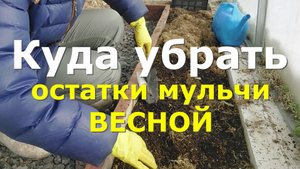 Мульчирование весной. Весенние работы в теплице