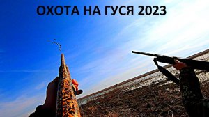 НАШЛИ ТЫСЯЧИ ГУСЕЙ НА ПОЛЕ!!! СУПЕР ОТКРЫТИЕ ОХОТЫ НА ГУСЯ. ТАКИХ НАЛЕТОВ ЕЩЕ НЕ БЫЛО / MAX HUNTER
