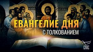 «ЕЩЕ МНОГОЕ ИМЕЮ СКАЗАТЬ ВАМ; НО ВЫ ТЕПЕРЬ НЕ МОЖЕТЕ ВМЕСТИТЬ» / ЕВАНГЕЛИЕ ДНЯ