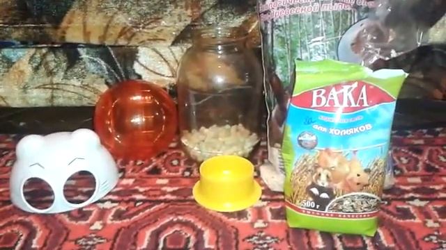 Всё что нужно для хомяка. И моя хомячиха Лира.