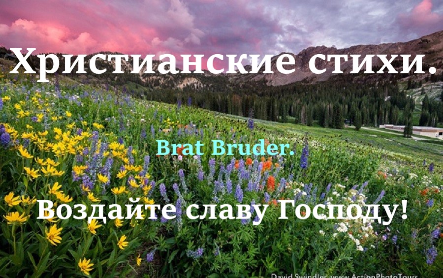 ,,Вифезда."     Brat Bruder.