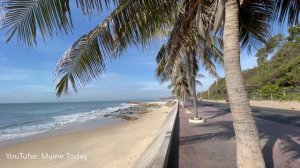 Муйне сегодня, 4 февраля 2021, Вьетнам 4K HDR