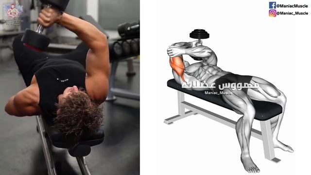 6 Best Exercise Grow Triceps ? (Long Head - Lateral Head - Medial Head) смотреть онлайн