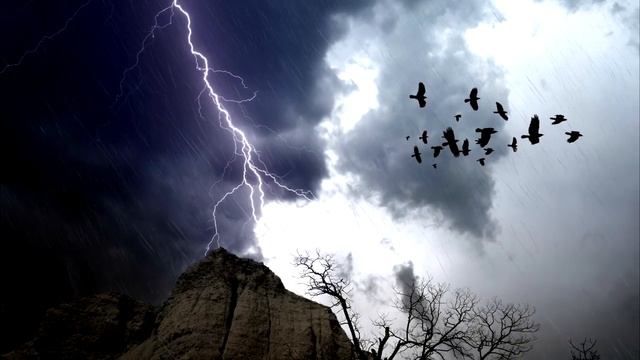 Если случилось несчастье Ильдар Аляутдинов смотреть онлайн