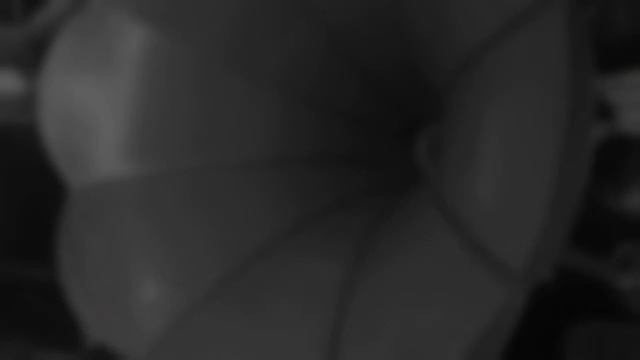 Slovene 78rpm recordings, 1928. VICTOR V-23034. Vipavska polka / Milka moja. Hoyer Trio instrumenta смотреть онлайн