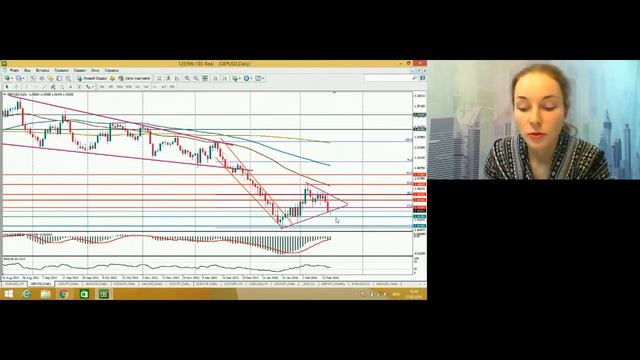 Елизавета Белугина. Обзор рынков FBS 17 февраля 2016 г. смотреть онлайн