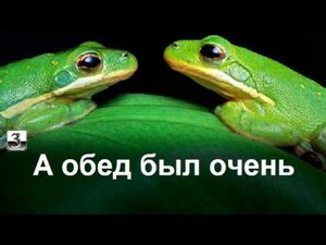 Закадычные подружки.