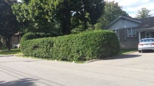 10 привычек, не подходящих для Канады. Прогулка по канадской деревне.