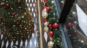 А вокруг Красота!