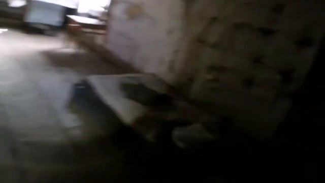 Поиск находок в заброшенном доме