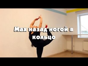 Мах назад ногой в кольцо