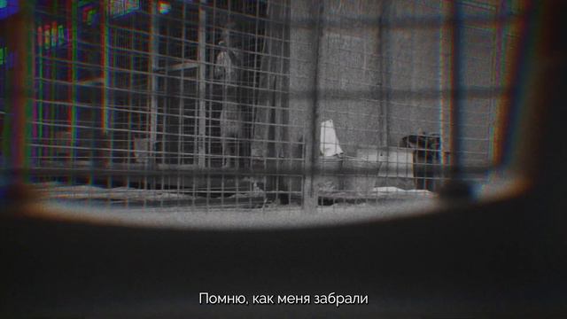 Потерянный дом... смотреть онлайн