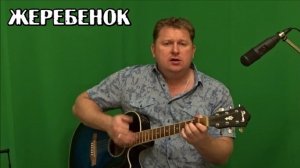 Жеребенок песня (авт. Алексей Коркин) - Foal