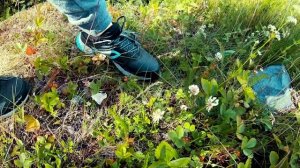 Медвежьегорск. Финские укрепления. Виды с горы Лысуха. Повенецкий залив. Карелия