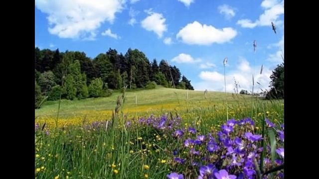 Дипак Чопра. 7 духовных законов успеха смотреть онлайн