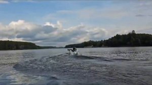 РИБ Буревестник 530. Две штуки)