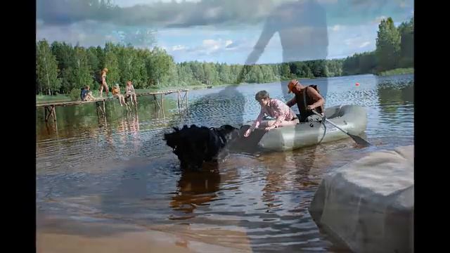Рассказы о Ньюфаундлендах - 8. Собаки-спасатели. Сборы в Полазне! #ньюфаундленды #ньюфтv