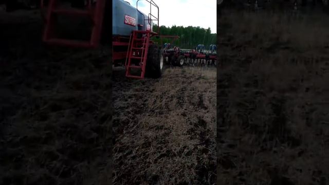 Посевная 2019 посевной комплекс селфорд