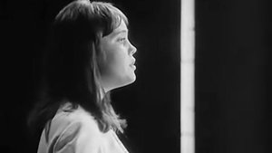 МЕТИ, МЕТЕЛЬ ВИШНЁВАЯ Самодеятельный вокальный квартет